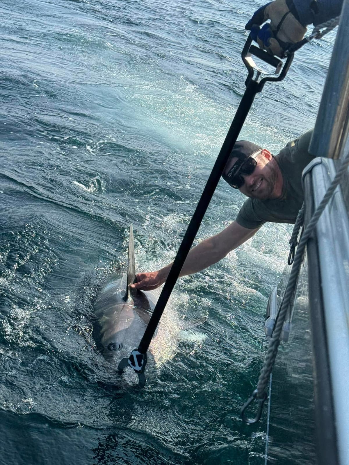 The deckhand reaches down to steady a bluefin tuna at the side of the boat